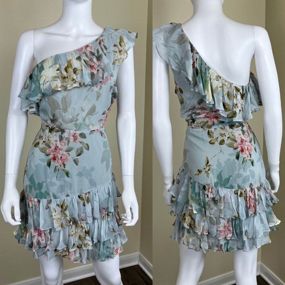 Yumi Kim Womens Size L Honeymoon Blue Skylar Floral Ruffle Tiered Mini NEW Dress